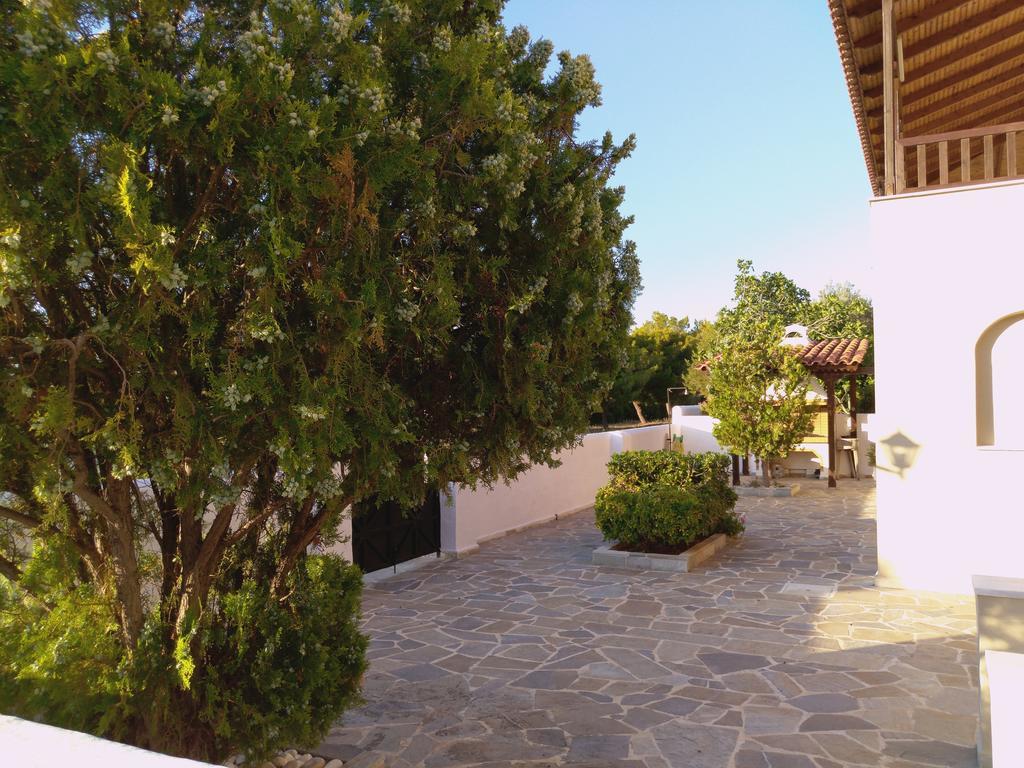 Explore Aegina Island Szuvála Kültér fotó